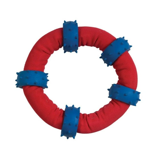 Toss Fetch Tug Chew Tough Nylon Rubber 8 inch Ring or 9 inch Triangle Dog Toys (1 Ring Toy)