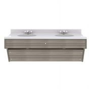 Tot Mate 49" Contemporary Wood Composite Double Wall Vanity in Gray
