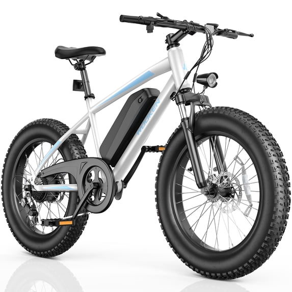 Wooken 500W Electric Bike for Adults,20" × 4.0" Fat Tire Electric Bicycle with 48V/10.4Ah Removable Battery UL2849 Certified,7-Speed,Up to 45 Miles Ebike,Max 19.8Mph Electric Mountain Bike Men