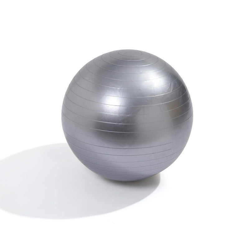 Total Body Balance Ball Kit Includes Anti-Burst Stability