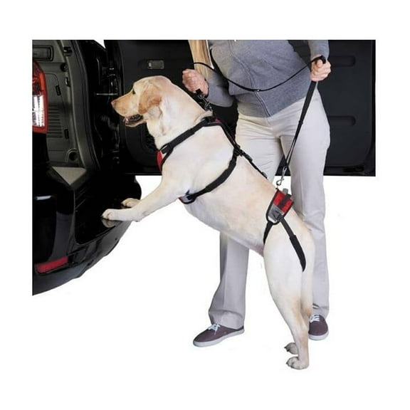 Total Pet Health TH Lift & Go Lead M Red