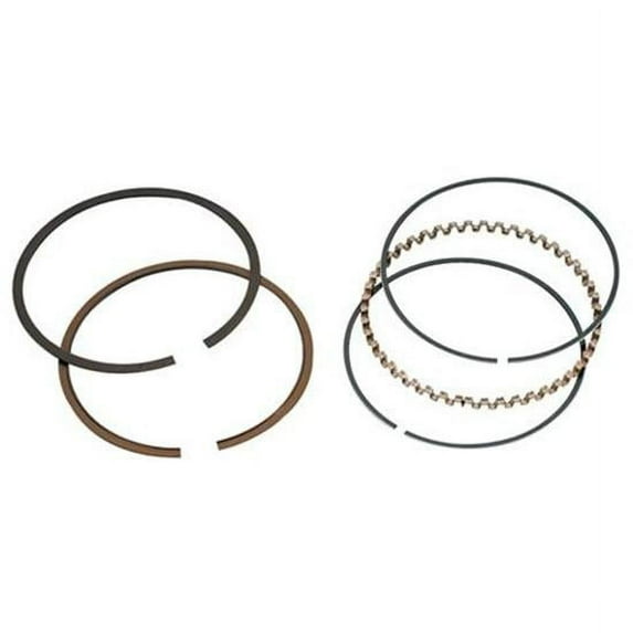 Total Seal Style A 4 Bore Chevy Piston Rings .060