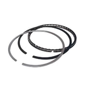 Total Seal TSLCS4702 45 4.17 in. 8 Cyclinder Ring Set