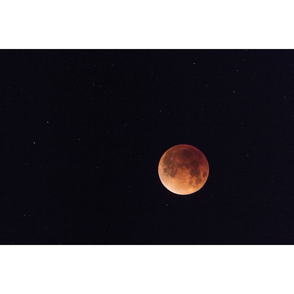 Total eclipse of a blue moon in Yellowstone National Park, Wyoming, USA Poster Print by Chuck Haney (18 x 24)