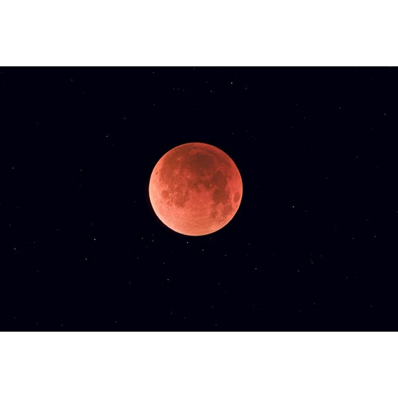 Total lunar eclipse taken near Calgary Alberta Canada Canvas Art - Alan DyerStocktrek Images (35 x 23)
