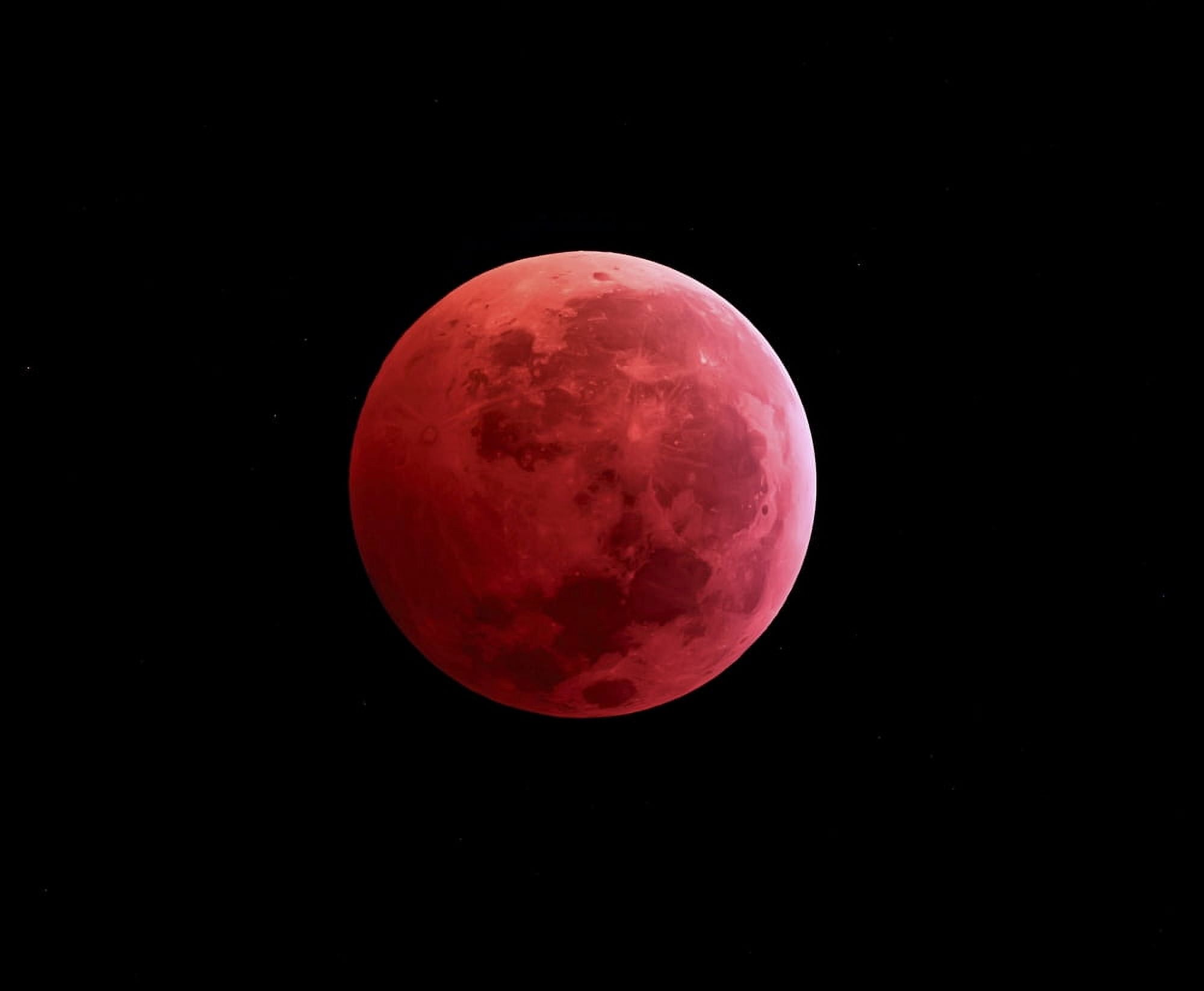 Total lunar eclipse taken on December 10 2011 Canvas Art - Michael MillerStocktrek Images (31 x 26)