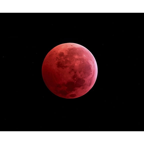 Total lunar eclipse taken on December 10 2011 Canvas Art - Michael MillerStocktrek Images (31 x 26)