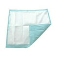 thumbnail image 1 of TotalDry Disposable Underpad Heavy Absorbency Fluff / Polymer 30 X 36" SP115412 10 pads, 1 of 1