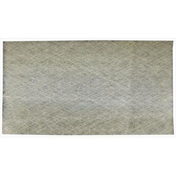 Totaline DP88NA3028E101-DTL Air Cleaner Media Filter-  Pack Of 2