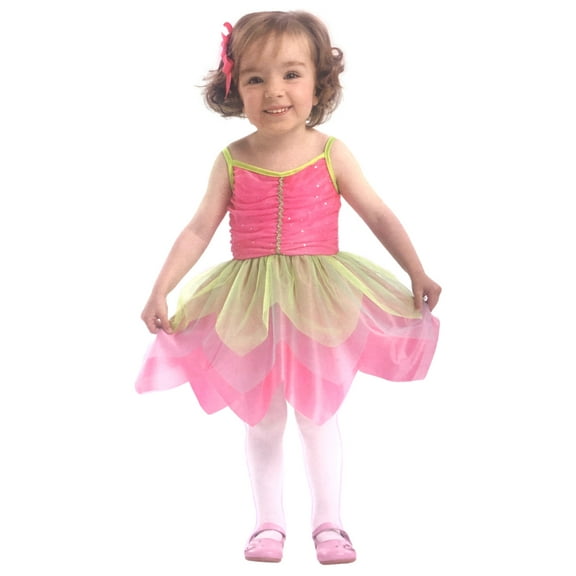 Totally Ghoul Toddler Girls Colorful Garden Fairy Dress & Wings Costume 4T
