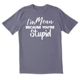thumbnail image 1 of TotallyTorn I Am Mean Because You Are Stupid Novelty Sarcastic Funny Mens Graphic T Shirts, 1 of 5