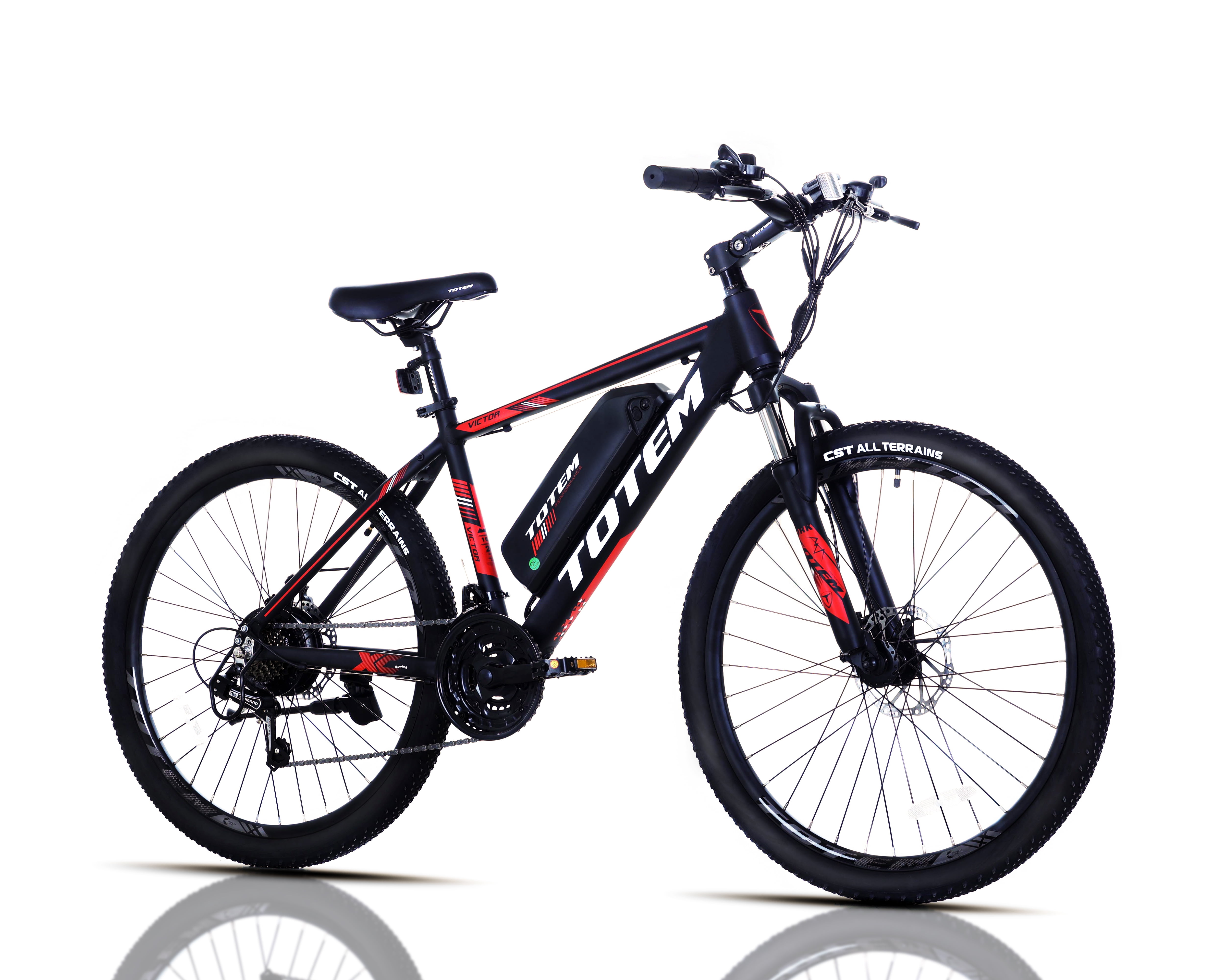 Totem Victor2.0 350 W Mountain Electric Bicycle 26 in., 36V 10.4Ah ...