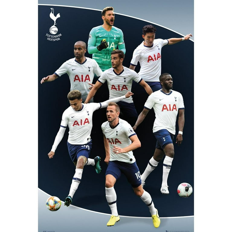 Tottenham Hotspur FC Team Players Poster 