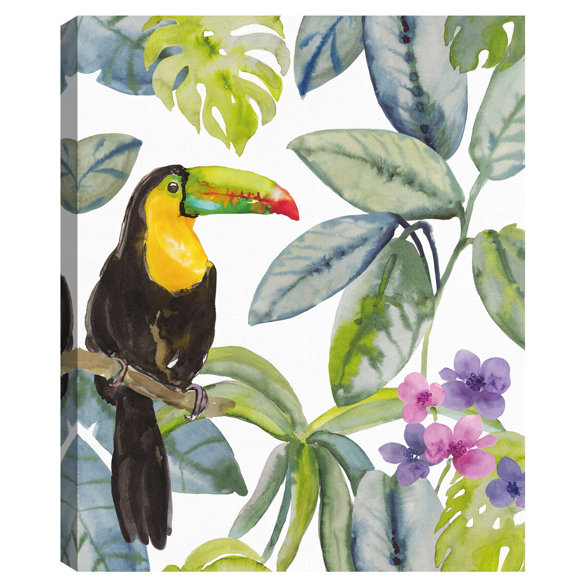 Toucan Seek by Sandra Jacobs Canvas Art Print
