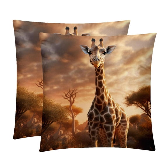 Toucan Velvet Throw Pillow Covers Set of 2 with Unique Patterns in Sizes 16x16, 18x18, and 20x20 Inches for Chair Pillow