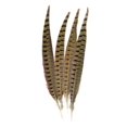 thumbnail image 1 of Touch Of Nature Ringneck Pheasant Feathers 4/Pkg-Natural, 1 of 2