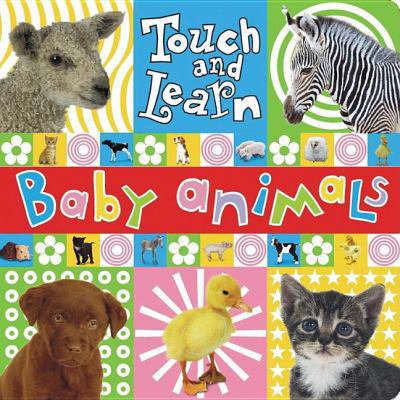 Pre-Owned Touch and Learn Baby Animal (Board book) 1846102782 9781846102783
