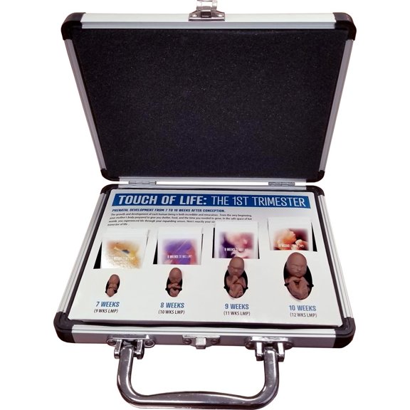 Touch of Life, 1st Trimester, Black Counseling Version Pro-Life Fetal Model