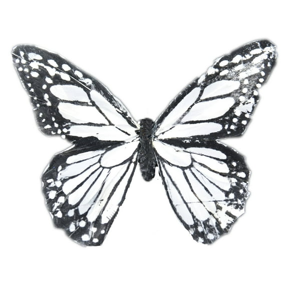 Touch of Nature 23030 Feather Butterfly, 5-Inch, Black/White
