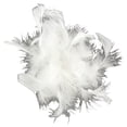 thumbnail image 1 of Touch of Nature 40227 Chandelle Clip, White, 1 of 2