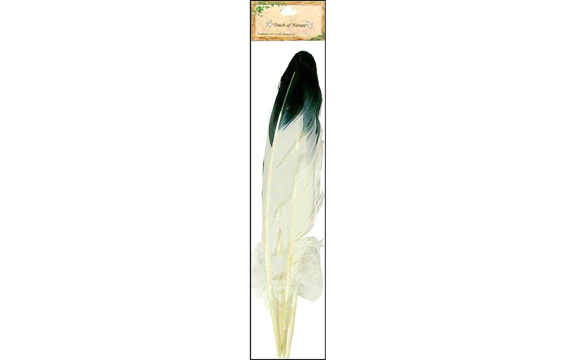 Touch of Nature Turkey Round Feathers 4/Pkg-White, 1 count - Fry's