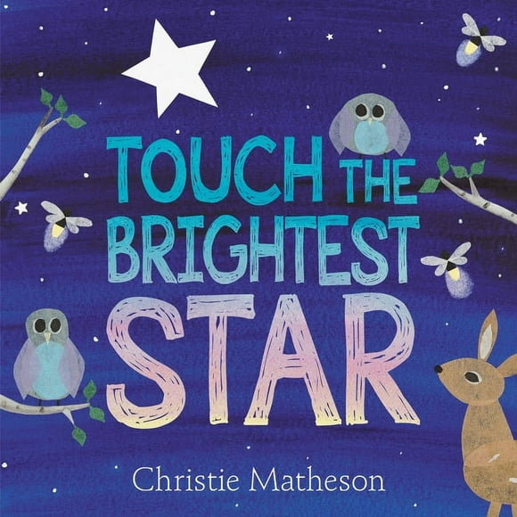 Touch the Brightest Star (Hardcover)