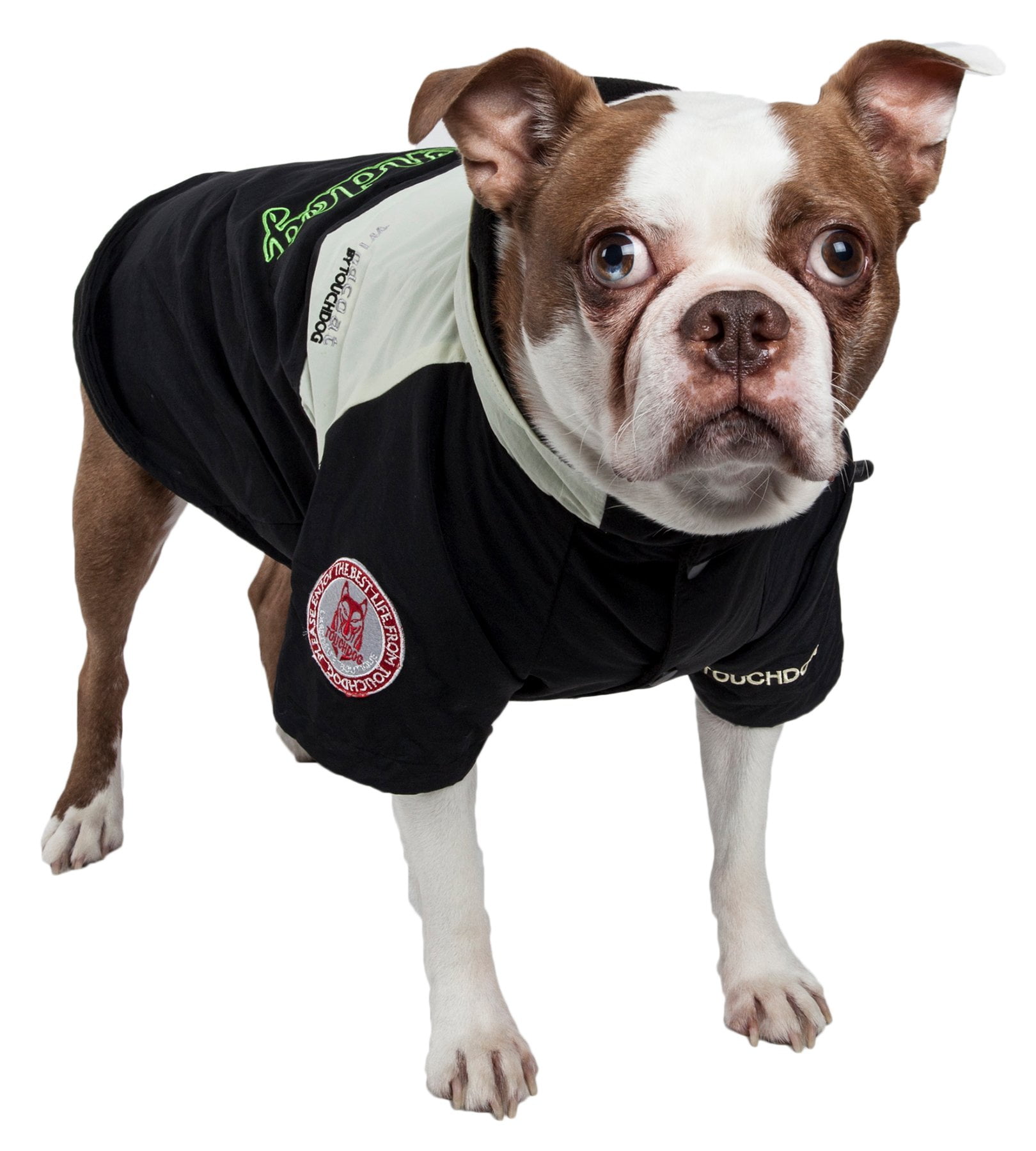 Dog ski shop jacket