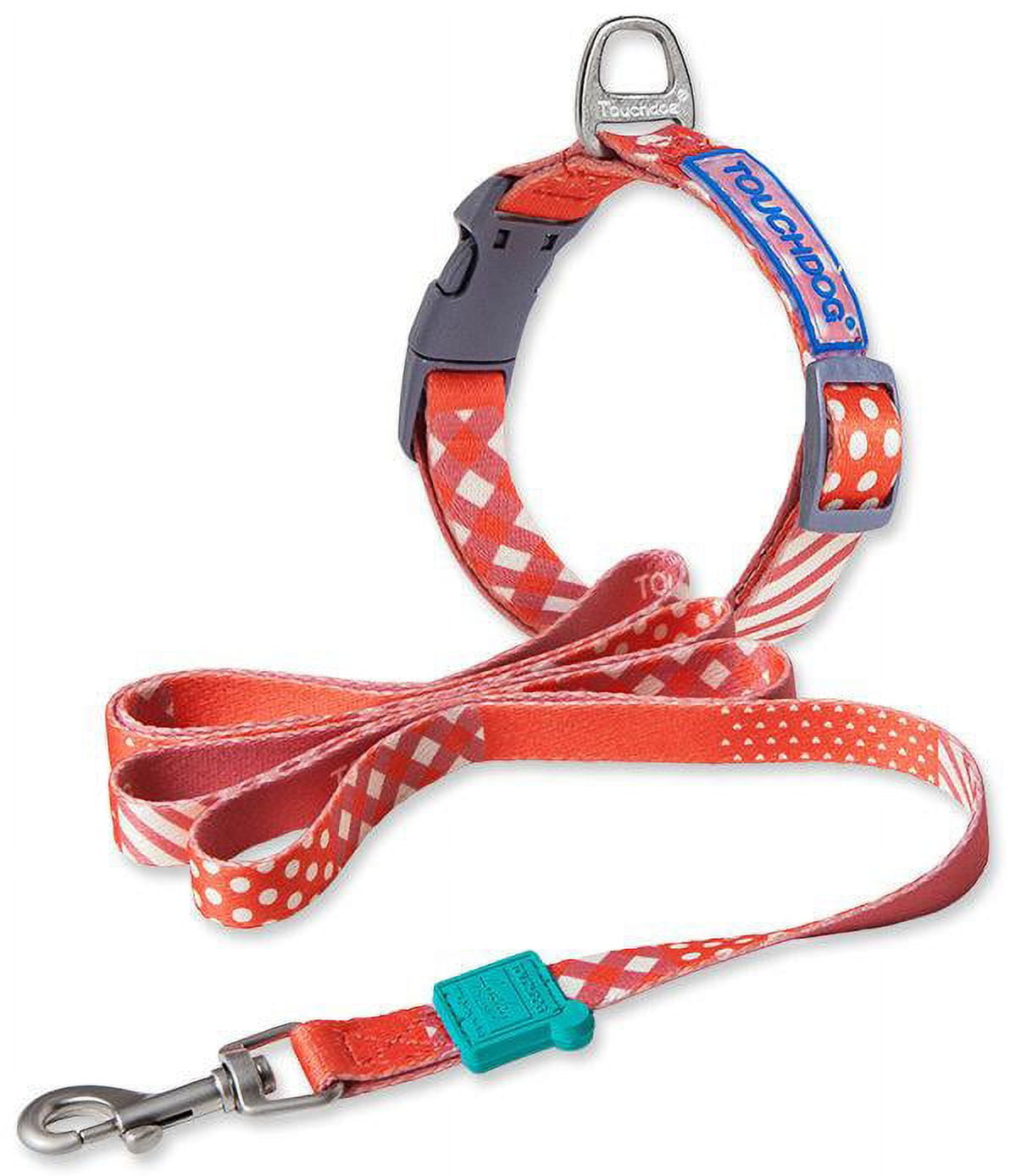 Designer leash and best sale collar