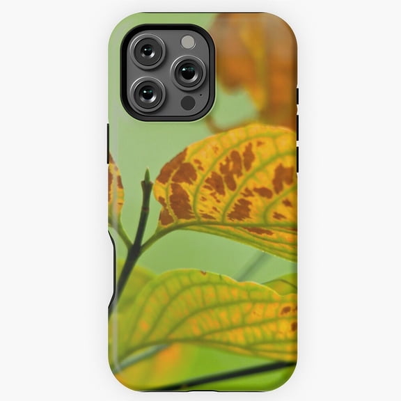 Touched By Autumn Fall Season Phone Case for iPhone 11 12 13 14 15 16 17 Pro Max
