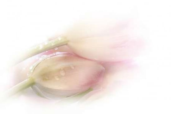 Touching Canvas Art - Stefan Eisele (24 x 36)