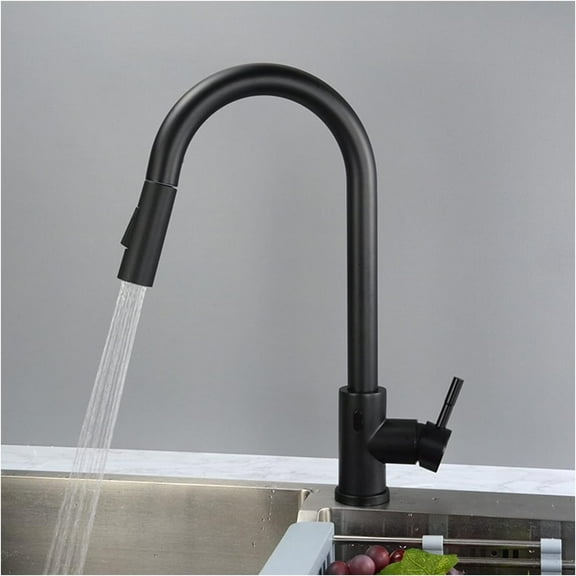 Touchless Kitchen Faucet, Stainless Steel Kitchen Sink Faucet with Pull Down Sprayer,High Arc Smart Motion Sensor Single Handle Kitchen Faucet with 2 Functions Sprayer, Deck Mounted,Black