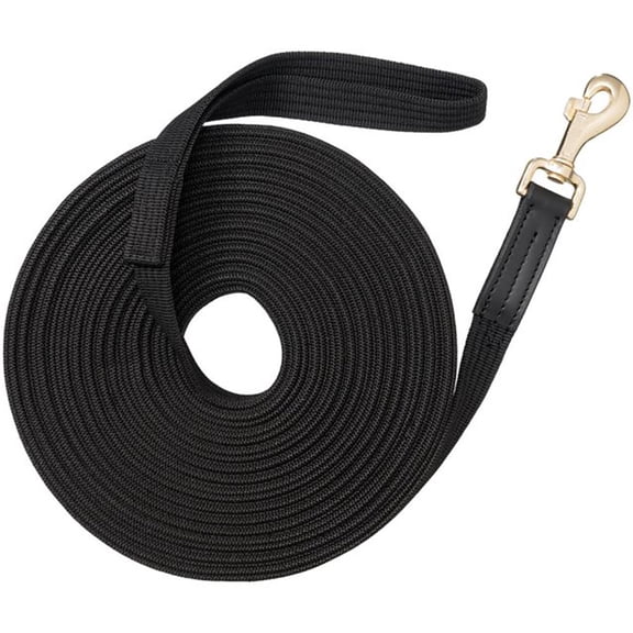 Tough 1 50ft Black Lunge Line with Snap