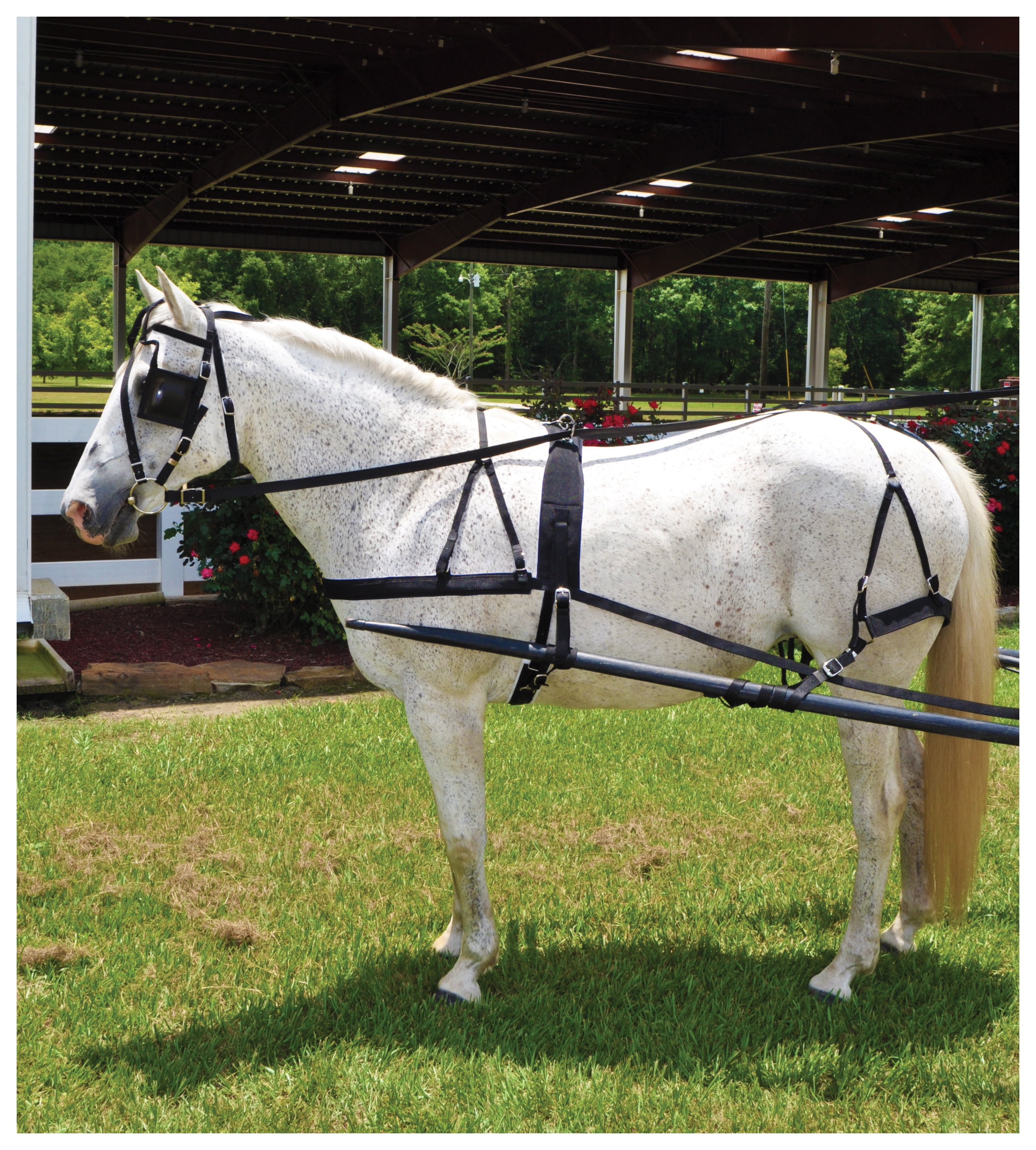 Tough 1 Basic Nylon Driving Harness Black Horse
