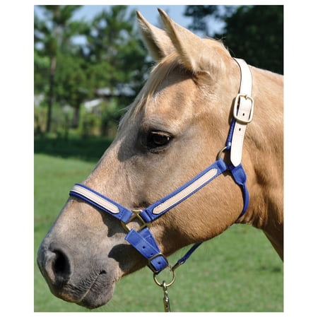 Tough 1 Double Ply Nylon Break Away Horse Size Halter Single Ply Leather Purple
