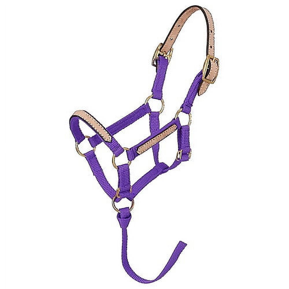 Tough 1 Cinta de mule halter prémium con plomo - Yaxa