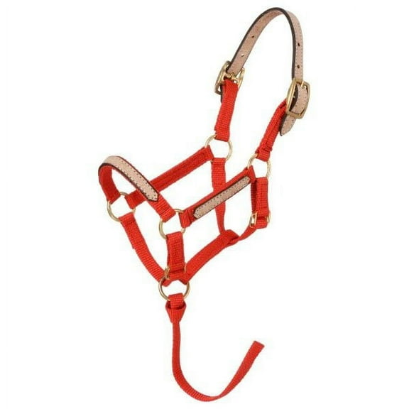 Tough 1 Miniature Nylon Break-Away Halter, Black, Small