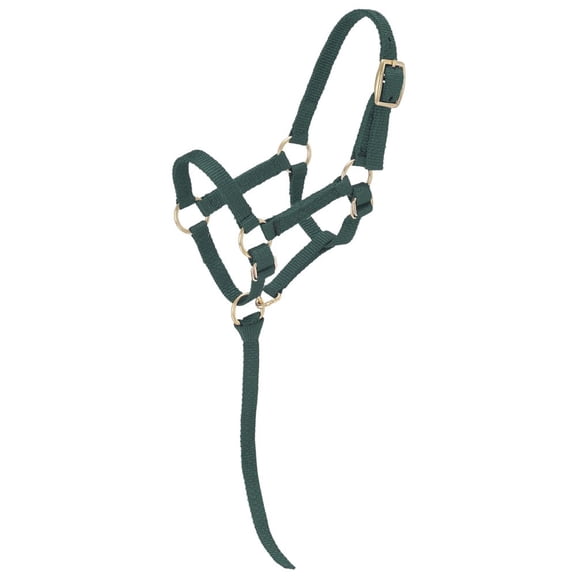 Tough 1 Miniature Nylon Halter, Hunter Green, Regular Mini.