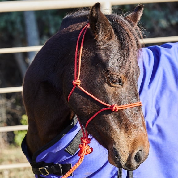 Tough-1 Miniature Poly Rope Halter withLea