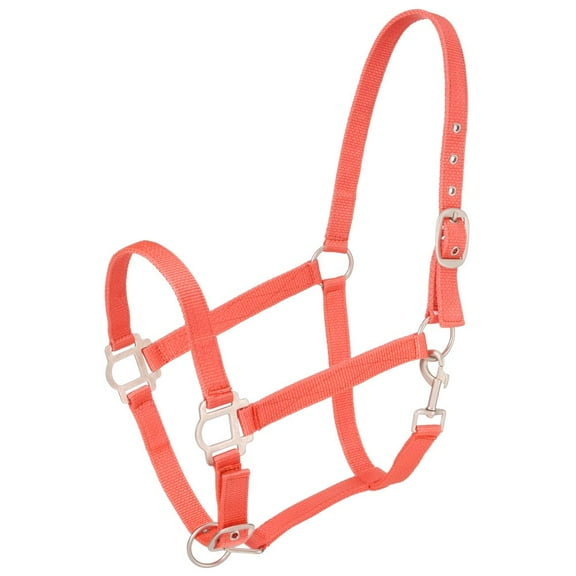 Tough-1 Nylon Halter With Satin Hardware - Orange - Yearling