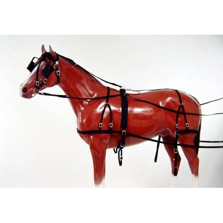 Tough-1 Nylon Horse Harness