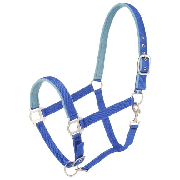 Tough 1 Nylon Padded Halter with Satin Hardware, Royal Blue, Pony