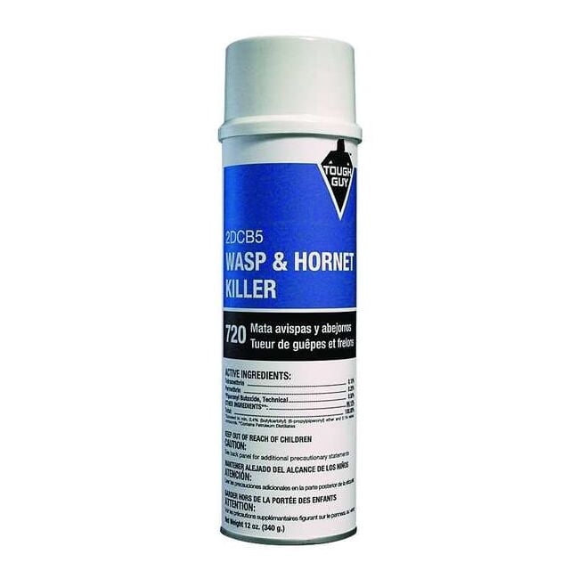 Tough Guy Indoor/Outdoor Wasp and Hornet Killer, 12 oz, Aerosol 2DCB5
