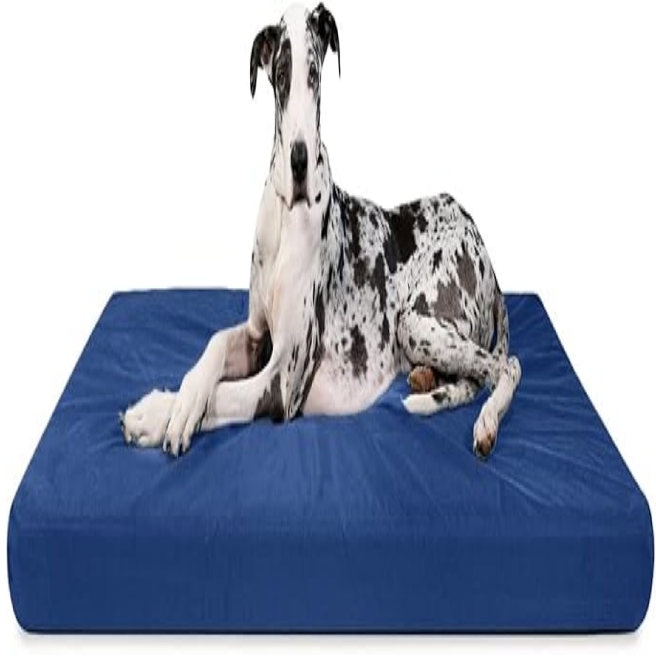 Pawz road orthopedic dog bed removable washable cover nonslip bottom dog sofa bed sxl blue