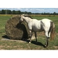 thumbnail image 1 of Tough1 Deluxe Round Bale Slow Feed Hay Net, 1 of 2