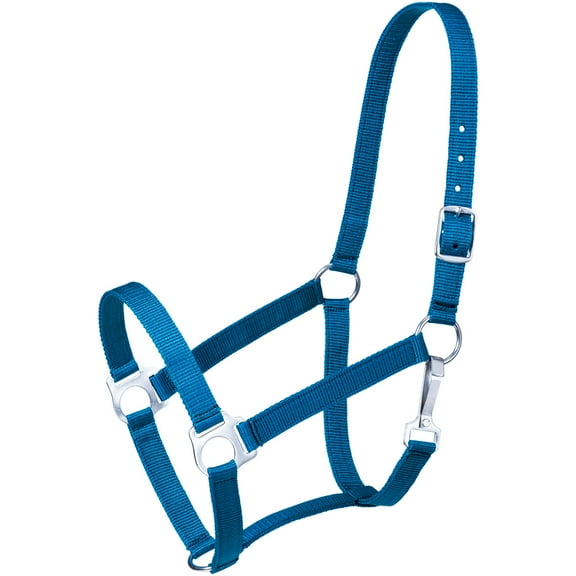 Tough1 Economy Halter Horse Turquoise