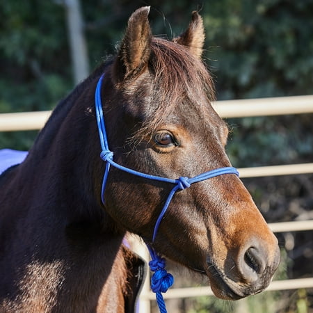 Tough1 Mini Rope Tied Halter w/ 5 1/2 Ld Lg Blue