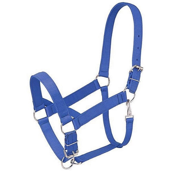 Tough1 Nylon Draft Halter Blue