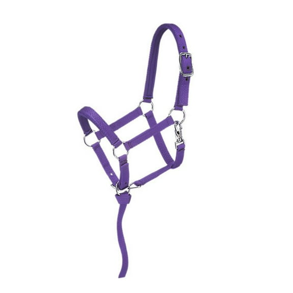Tough1 Nylon Padded Mini Halter Small Royal Blue