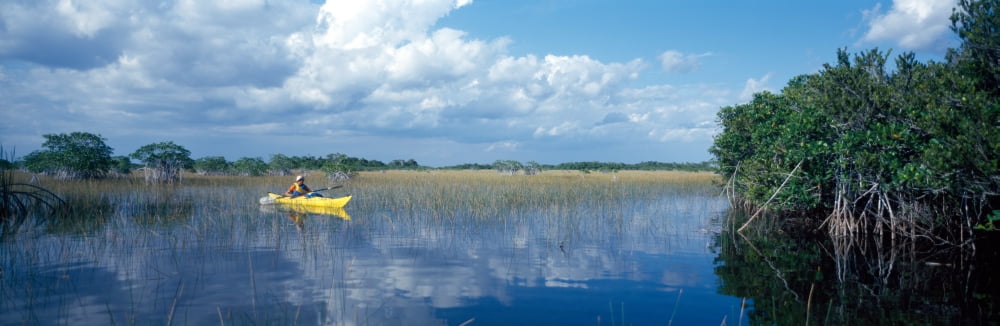 Tourist kayaking in a pond Nine-Mile Pond Canoe Trail Everglades National Park Florida USA Canvas Art - Panoramic Images (36 x 12)