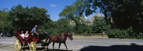 Tourists Traveling In A Horse Cart NYC New York City New York State USA Canvas Art - Panoramic Images (36 x 13)